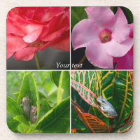 Petites grenouilles tropicales en fleurs et en feu