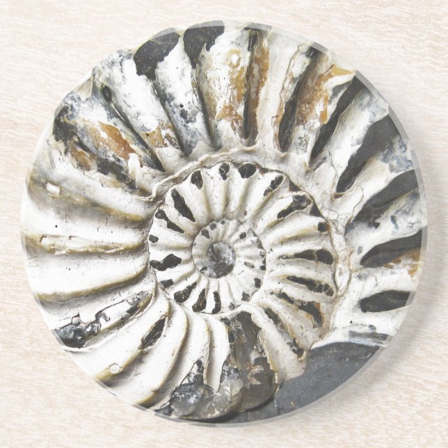 Dessous de verre Petritical Nautical Fossil Beach  (Devant)