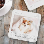 Dessous-de-verre Pet's First Christmas In Forever Home Modern Chic<br><div class="desc">Design is composed of modern chic typography with sans serif and serif font. Add a custom photo of adopted pet and year.</div>