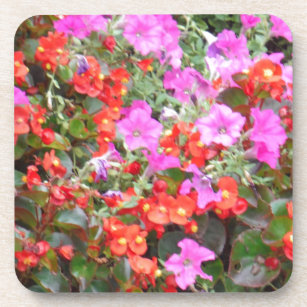 Dessous-de-verre Pétunia rose et géraniums rouges