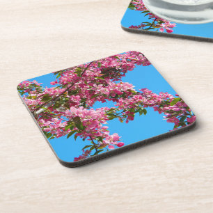 Dessous-de-verre Photo de fleurs d'arbre roses et de ciel bleu