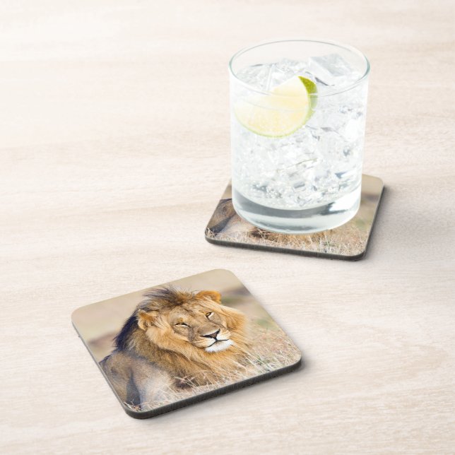 Dessous-de-verre Photo de lion majestueuse (Côté Droit)