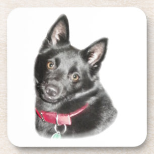 Dessous-de-verre Photo Schipperke