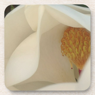 Dessous-de-verre Photographie de Magnolia Floral Fine Art