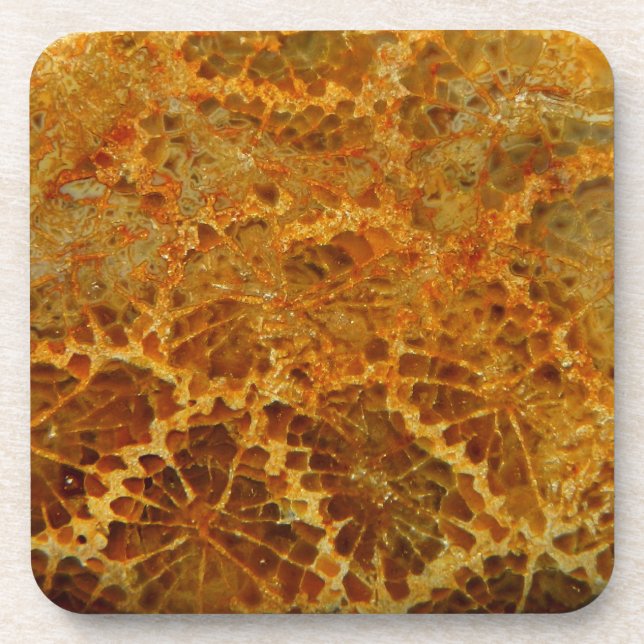 Dessous-de-verre Pierre de jaspe naturelle de corail fossilisé (Devant)