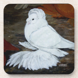 Dessous-de-verre Pigeon trompette anglais blanc