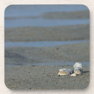 Dessous-de-verre Pile de coquillage