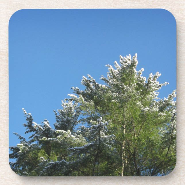 Dessous-de-verre Pin à pointes de neige sur le ciel bleu (Devant)