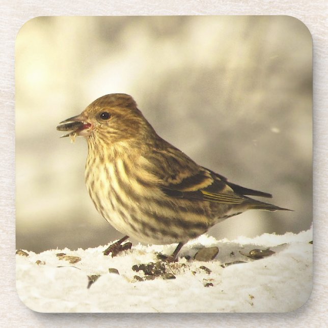 Dessous-de-verre Pine Siskin (Devant)