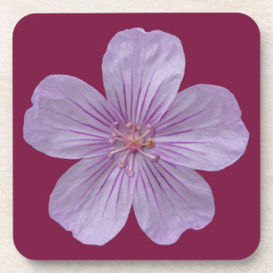 Dessous-de-verre Pineywoods Geranium #1