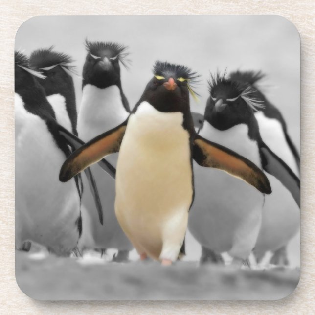 Dessous-de-verre Pingouins de Rockhopper (Devant)