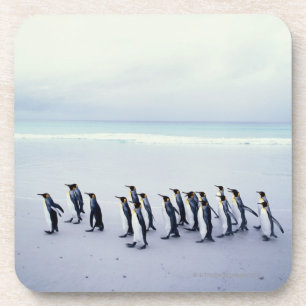 Dessous-de-verre Pingouins de roi (patagonicus d'Aptenodytes)
