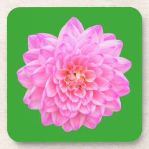 Dessous-de-verre Pink Dahlia