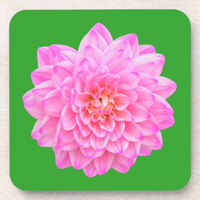 Dessous-de-verre Pink Dahlia (Devant)