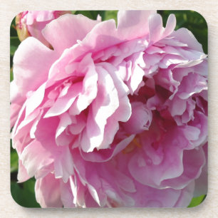 Dessous-de-verre Pink Peony photo cottage ferme jardin fleuri