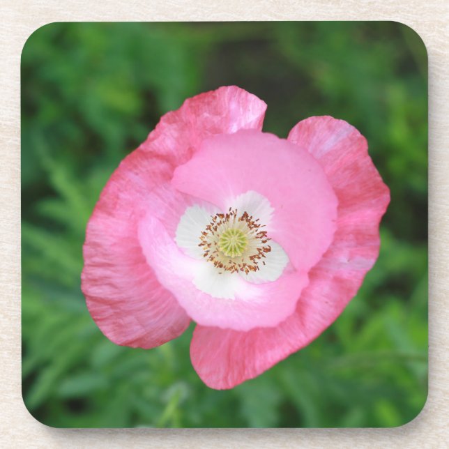 Dessous-de-verre Pink poppy (Devant)