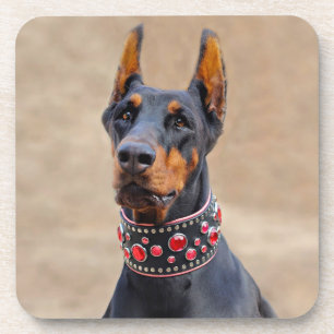 Dessous-de-verre Pinscher noir et tan Doberman en collier à bijoux