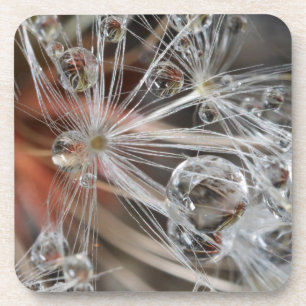Dessous-de-verre Pissenlit Abstrait
