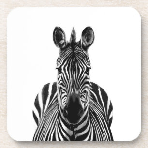 Dessous-de-verre Plan de sauvegarde III