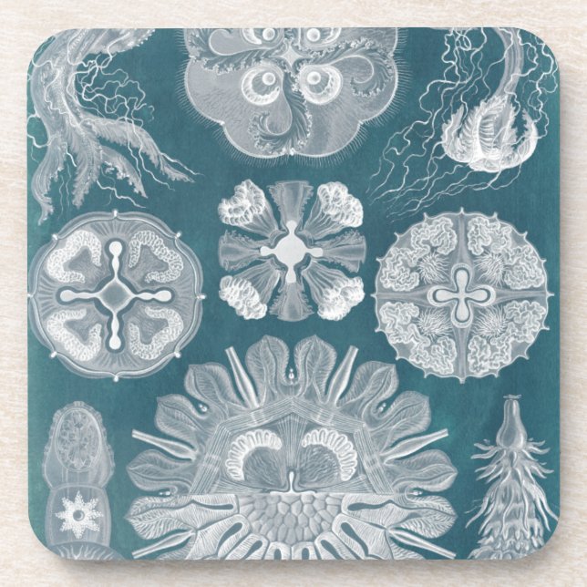 Dessous-de-verre Plan directeur de la vie marine IV (Devant)