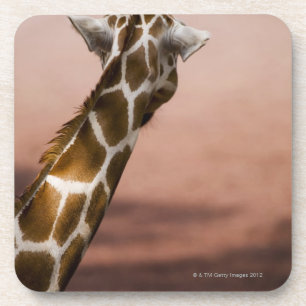 Dessous-de-verre Plan rapproché de girafe somalienne (Giraffa