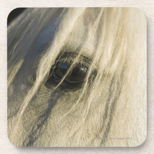 Dessous-de-verre Plan rapproché d'oeil de cheval