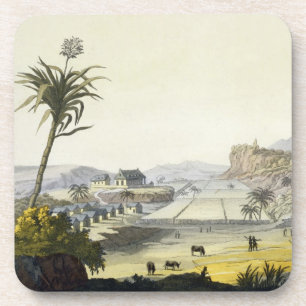 Dessous-de-verre Plantation de sucre, Antilles (gravure de couleur)