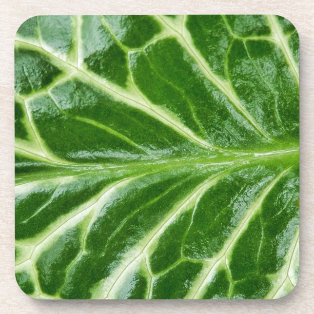 Dessous-de-verre Plante de pinte de cacao (Devant)