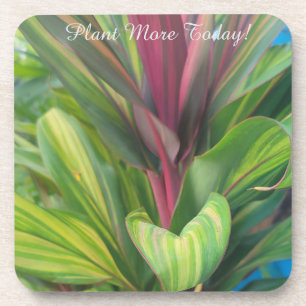 Dessous-de-verre Plante Plus