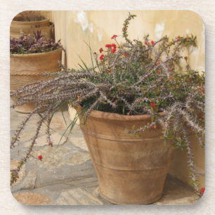 Dessous de verre Plantes