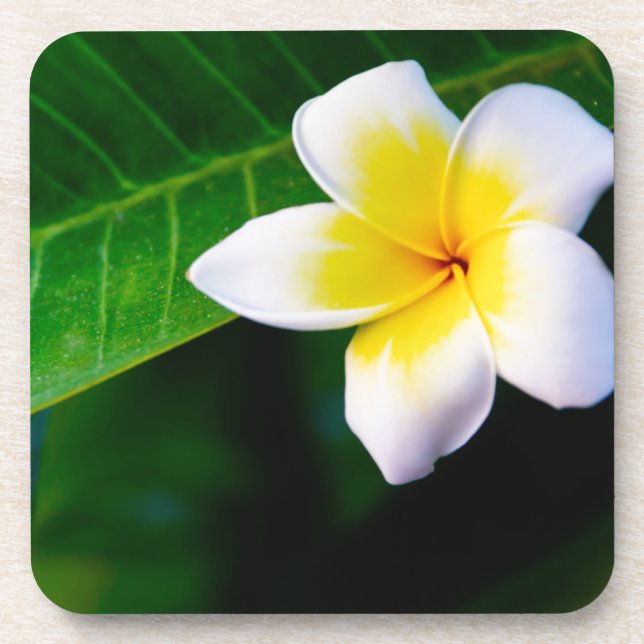 Dessous-de-verre Plumeria (Devant)