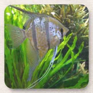 Dessous-de-verre Poisson Angel