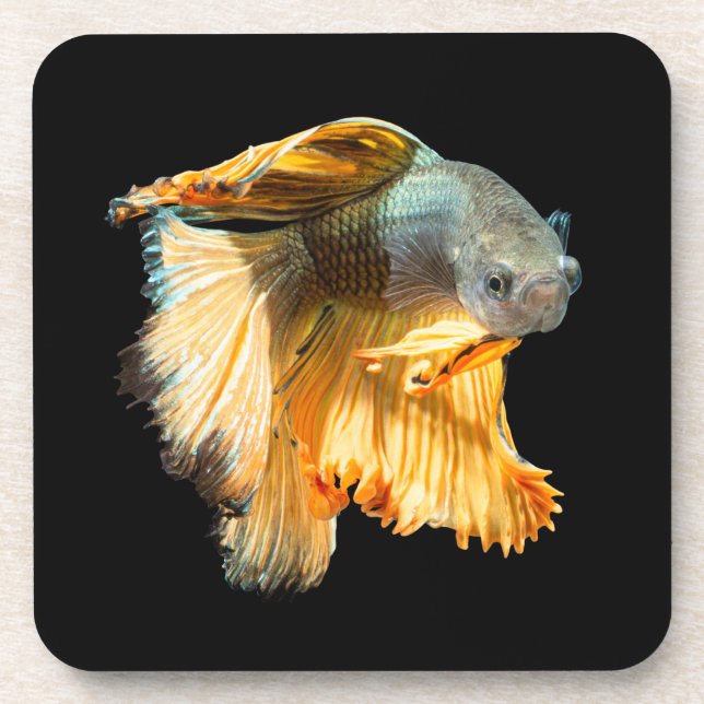 Dessous-de-verre Poisson Betta demi-lune (Devant)