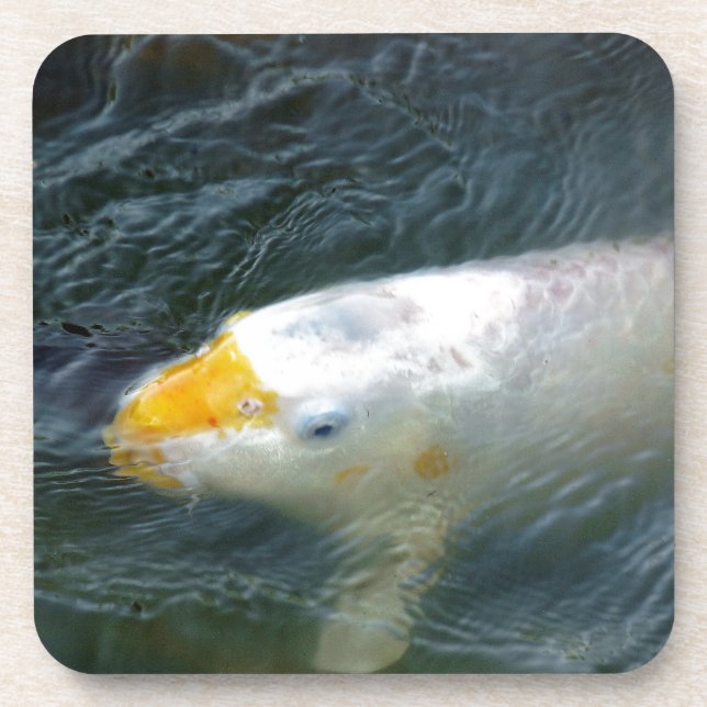 Dessous-de-verre Poisson D'Or Dans Le Lac (Devant)