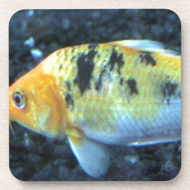 Dessous-de-verre Poisson d'or tacheté (Devant)