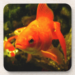 Dessous-de-verre Poisson doré