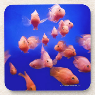 Dessous-de-verre Poisson rouge 2