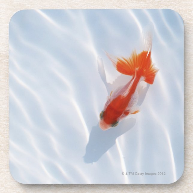 Dessous-de-verre Poisson rouge 5 (Devant)