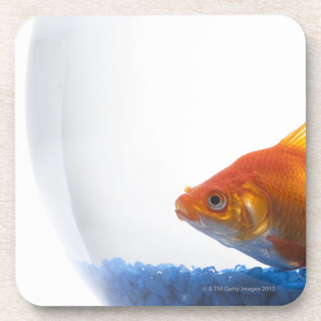 Dessous-de-verre Poisson rouge dans la cuvette sur l'arrière - plan (Devant)