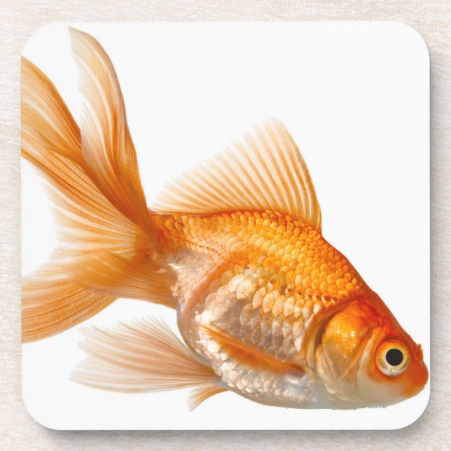 Dessous-de-verre Poisson rouge de fantaisie (Devant)