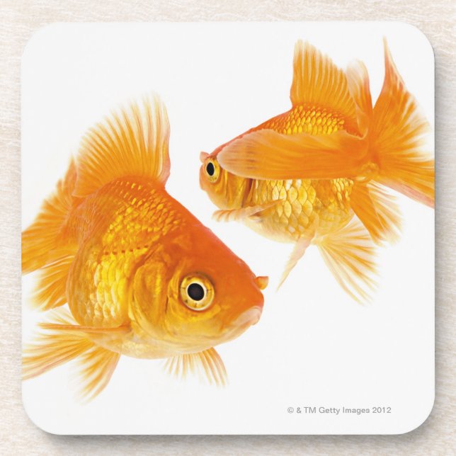 Dessous-de-verre Poisson rouge deux se croisant (Devant)