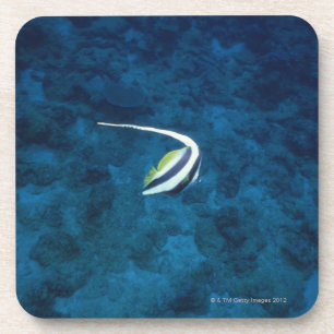 Dessous-de-verre Poissons 2