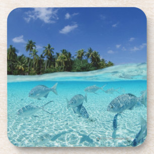 Dessous-de-verre Poissons en mer