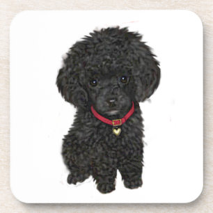 Dessous-de-verre Poodle miniature ou jouet - Noir 1