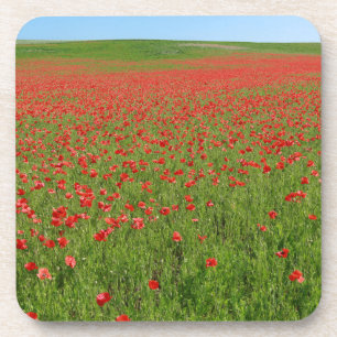 Dessous-de-verre Poppies alive !