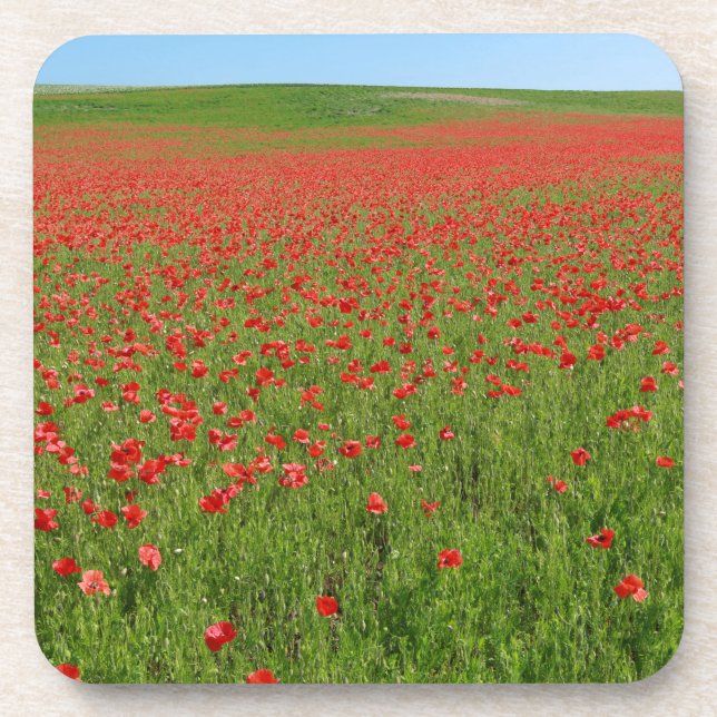 Dessous-de-verre Poppies alive ! (Devant)