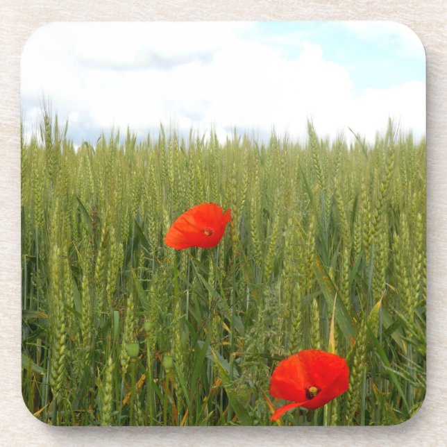 Dessous-de-verre Poppies in a Wheat Field Hard Plastic Coaster (Devant)