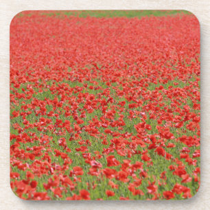 Dessous-de-verre Poppies - thousands!