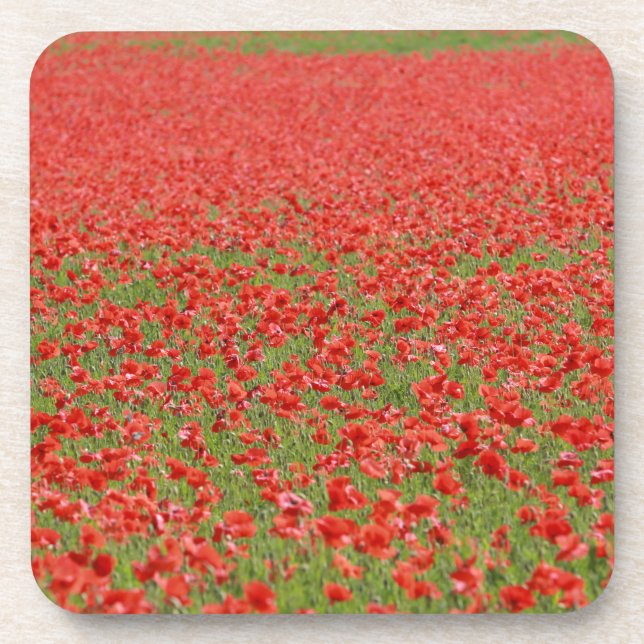 Dessous-de-verre Poppies - thousands! (Devant)