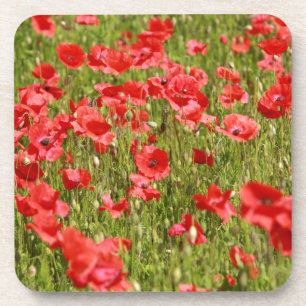 Dessous-de-verre Poppy field